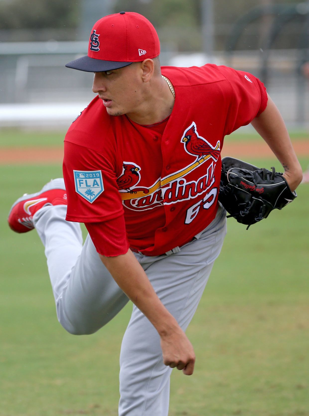 Cardinals spring training